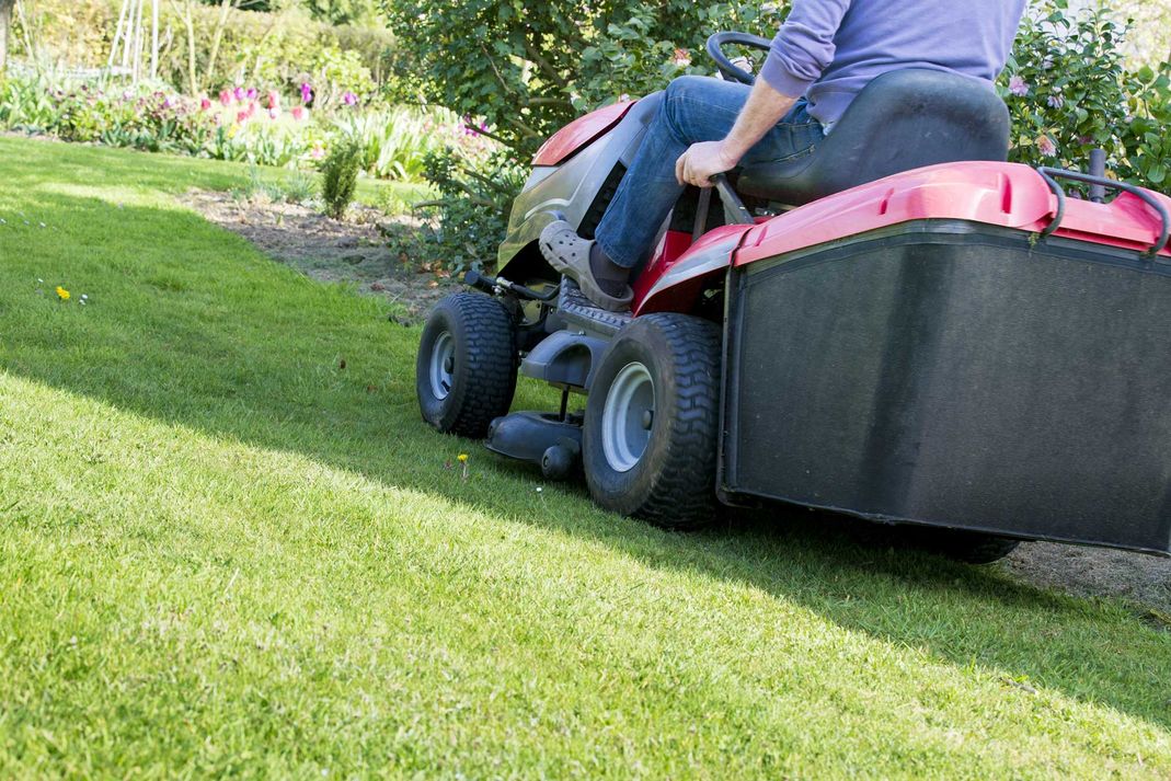 Gartenpflege und Gartenbau in Bad Harzburg